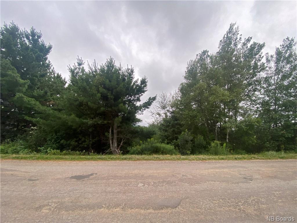 - Tavener Terrace, Picadilly, New Brunswick, Canada