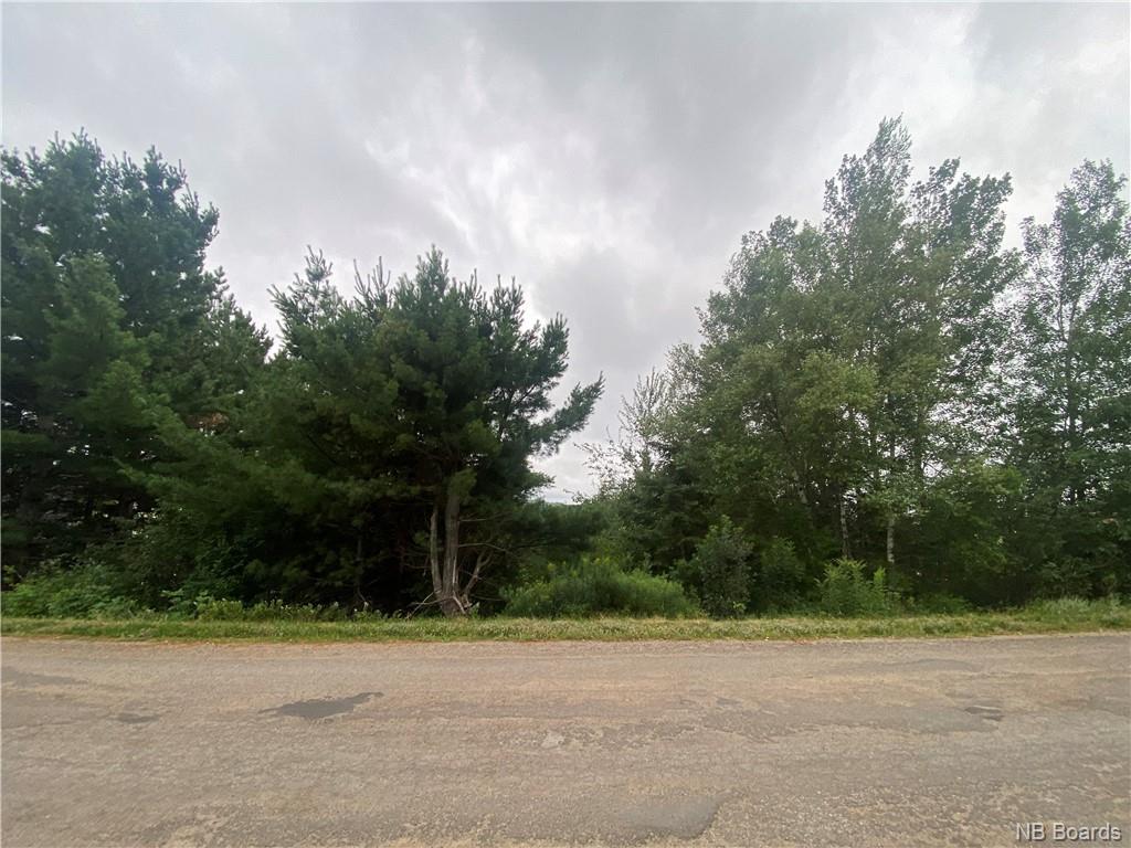 - Tavener Terrace, Picadilly, New Brunswick, Canada