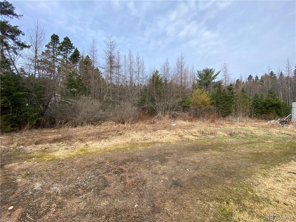 199 Brittain Road, Nerepis, New Brunswick, Canada