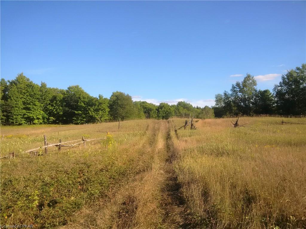 Apsley And Area Real Estate Waterfront Cottages Residential