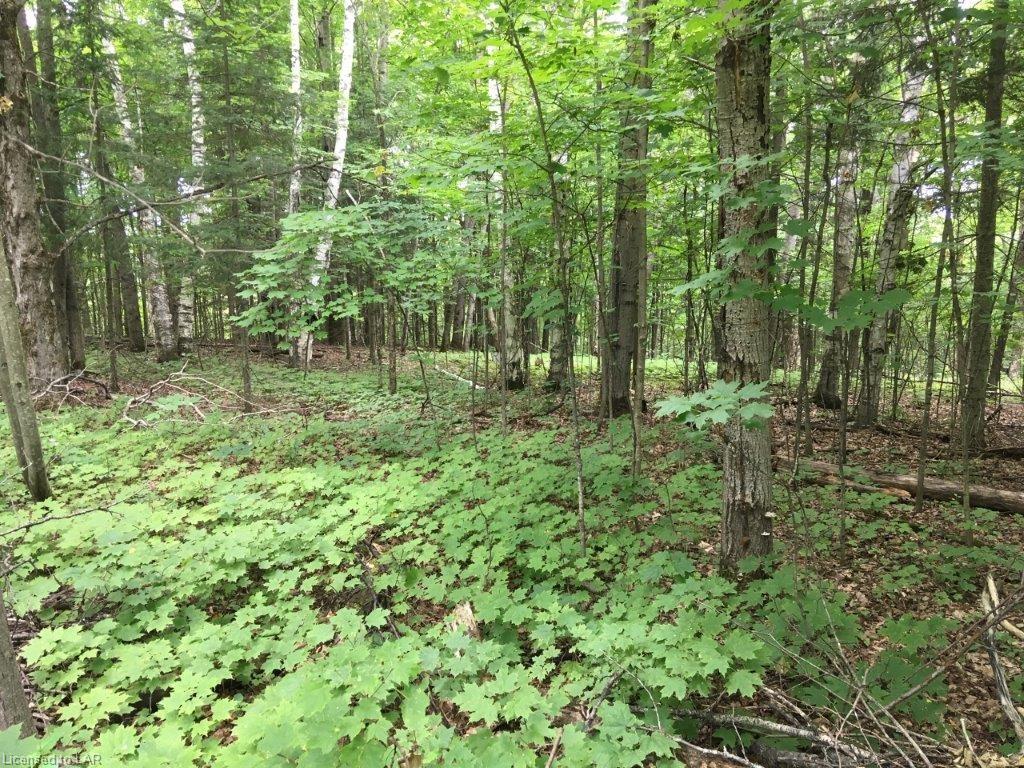 1071 CHALET Drive, Eagle Lake Village Ontario, Canada