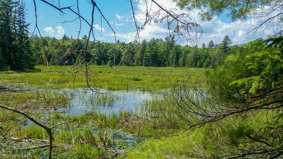 . PROSPECT LAKE ROAD Road, Bracebridge Ontario, Canada