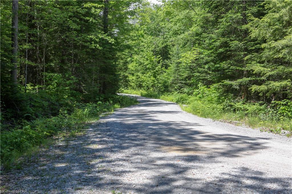 . PROSPECT LAKE Road, Bracebridge Ontario, Canada