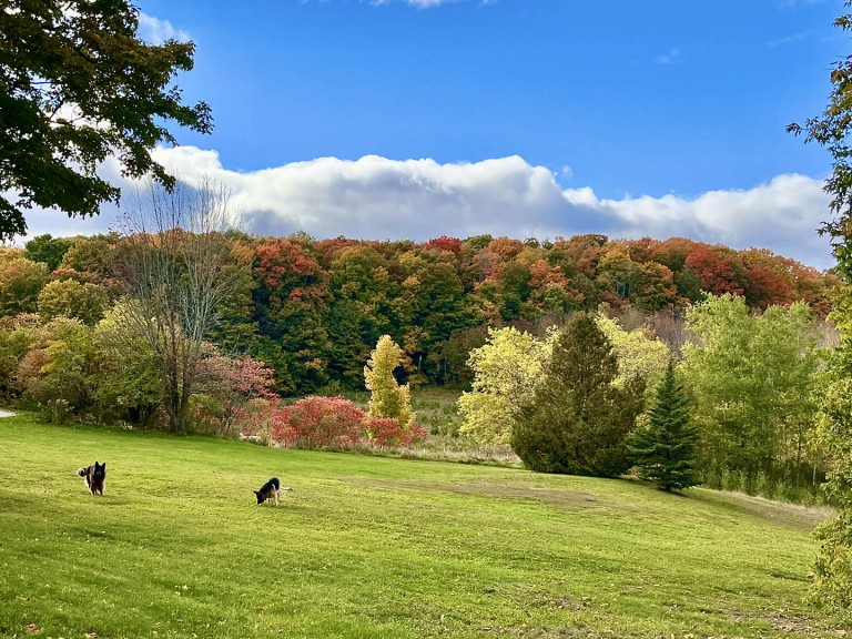 Caledon ON, Caledon, Ontario, Canada