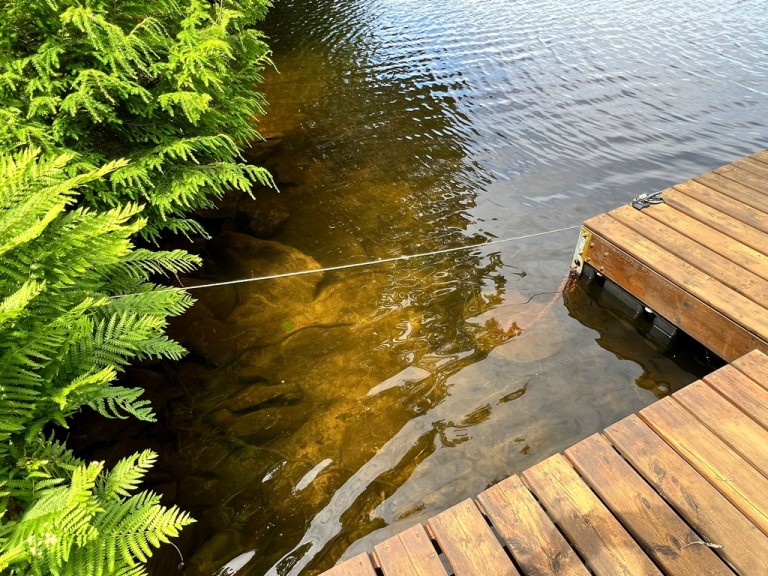 1630 Allen Lake Drive, Harcourt, Ontario, Canada photo 18