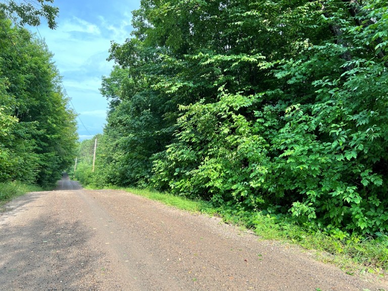 1414 Madill Road, Gooderham, Ontario, Canada photo 1