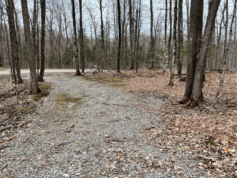 Salerno Lake Road, Irondale, Ontario, Canada photo 2