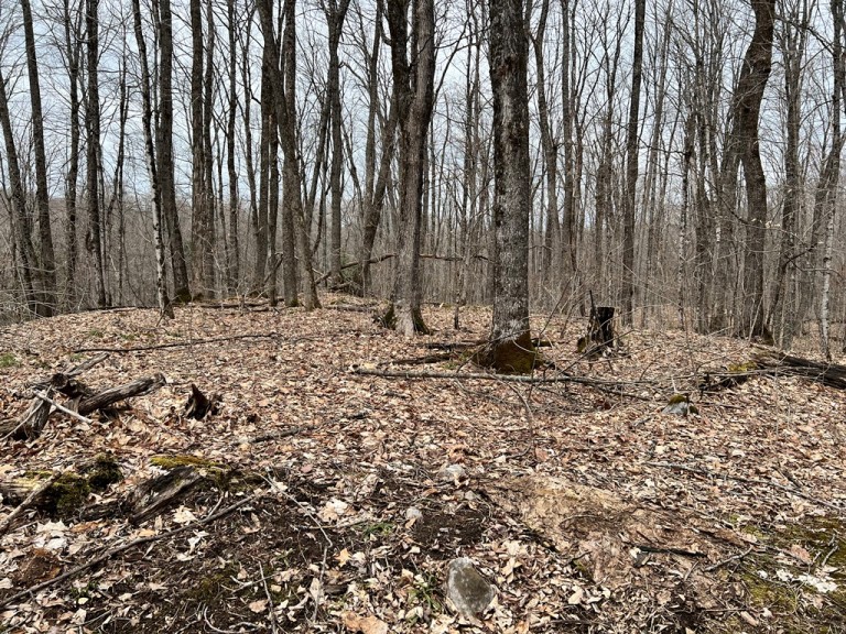 Salerno Lake Road, Irondale, Ontario, Canada photo 3