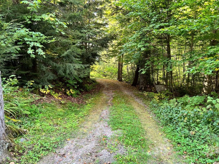 1374 Betula Crescent, Harcourt, Ontario, Canada photo 20