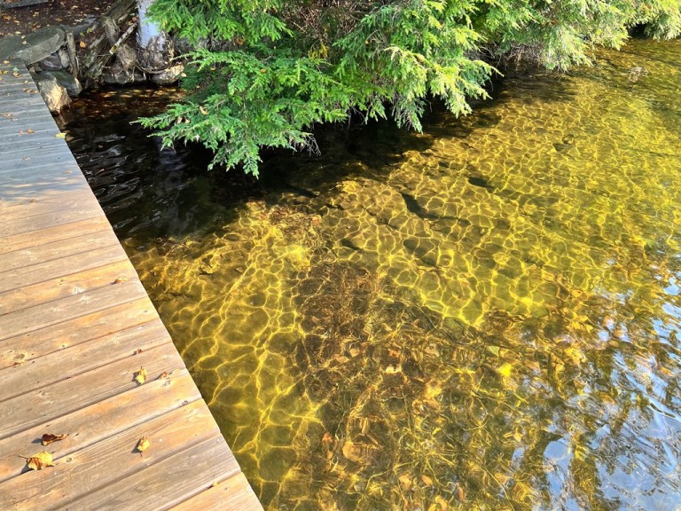 1374 Betula Crescent, Harcourt, Ontario, Canada photo 31