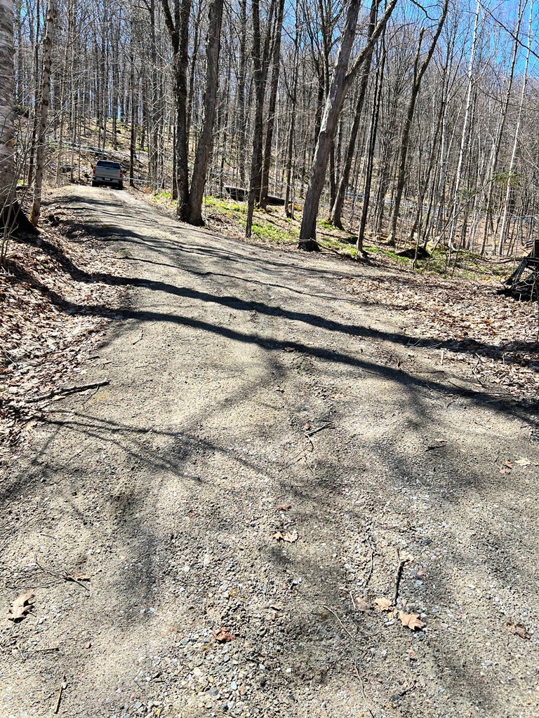 1063 Esson Creek Lane, Wilberforce, Ontario, Canada photo 18