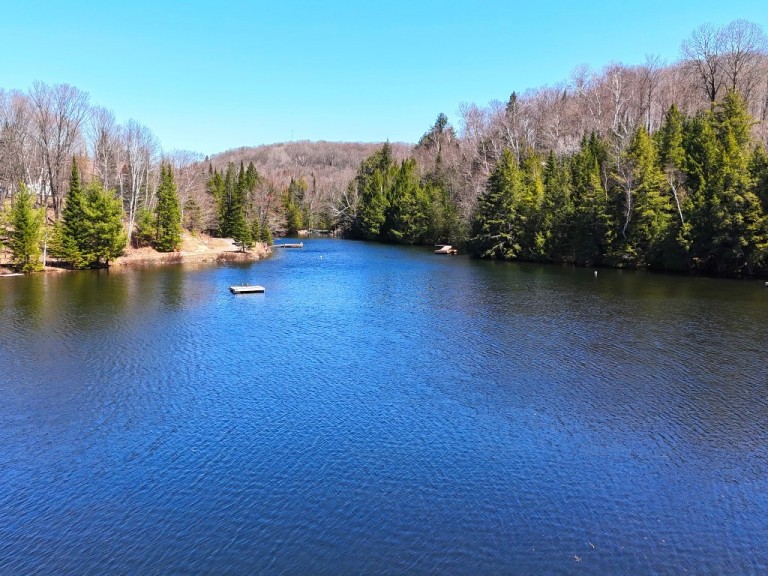 1063 Esson Creek Lane, Wilberforce, Ontario, Canada photo 24