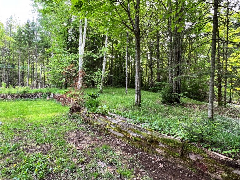 1065 Cockle Creek Estates Road, Wilberforce, Ontario, Canada photo 15