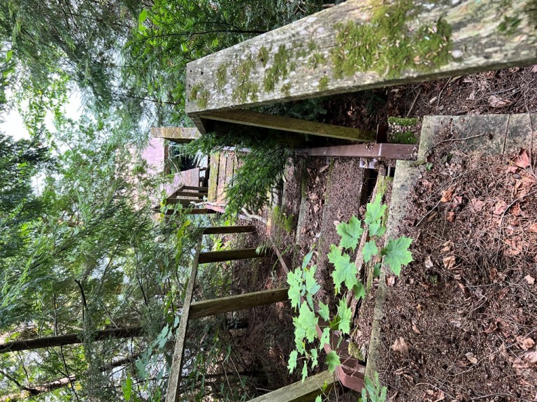 1019 Goshawk Crescent, Harcourt, Ontario, Canada photo 21