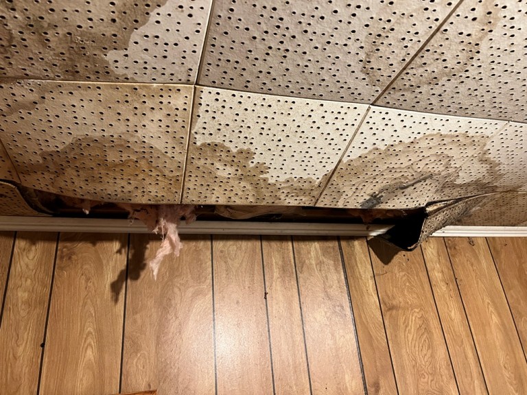 1019 Goshawk Crescent, Harcourt, Ontario, Canada photo 10