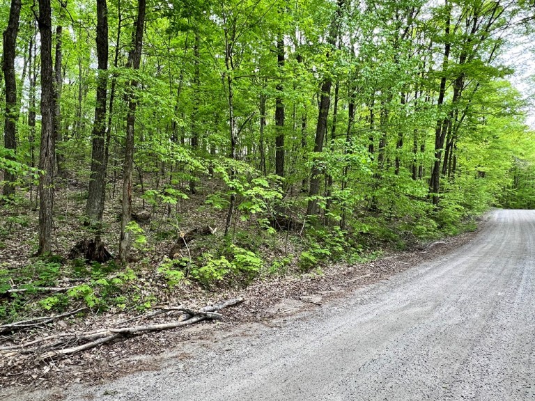 Salerno Lake Road, Irondale, Ontario, Canada photo 2