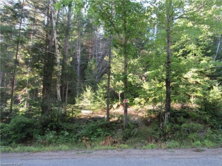 LAWSON Drive, Kearney Ontario, Canada