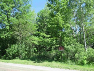 Bush Road