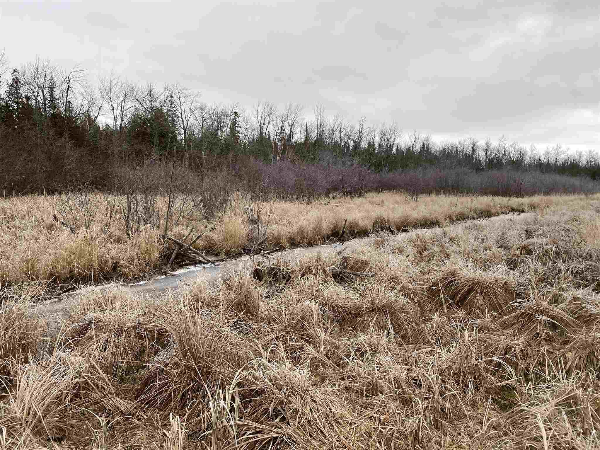 Lot 2 & 3 Con 6 Nelson Road, Jocelyn Ontario, Canada