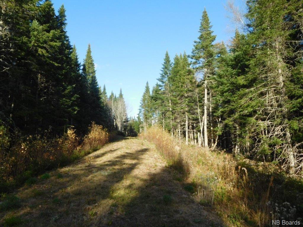 - Lakefield Road, Poodiac New Brunswick, Canada