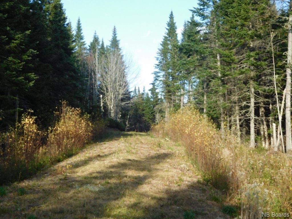 - Lakefield Road, Poodiac New Brunswick, Canada