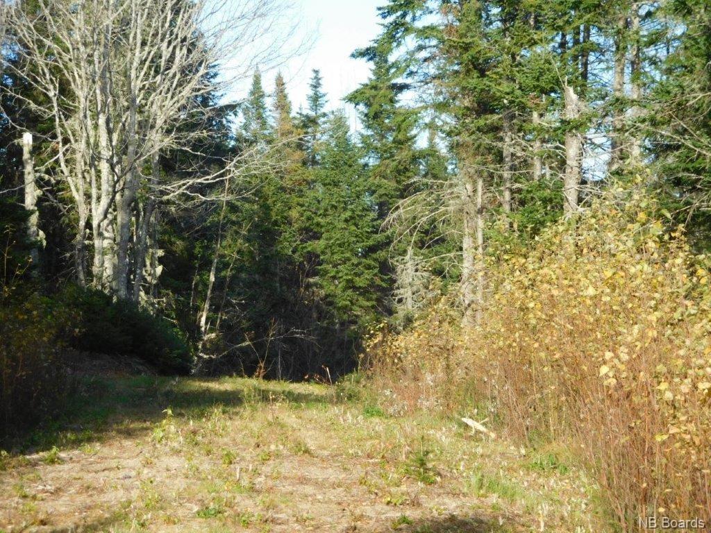 - Lakefield Road, Poodiac New Brunswick, Canada