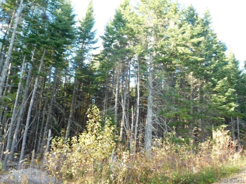- Lakefield Road, Poodiac New Brunswick, Canada