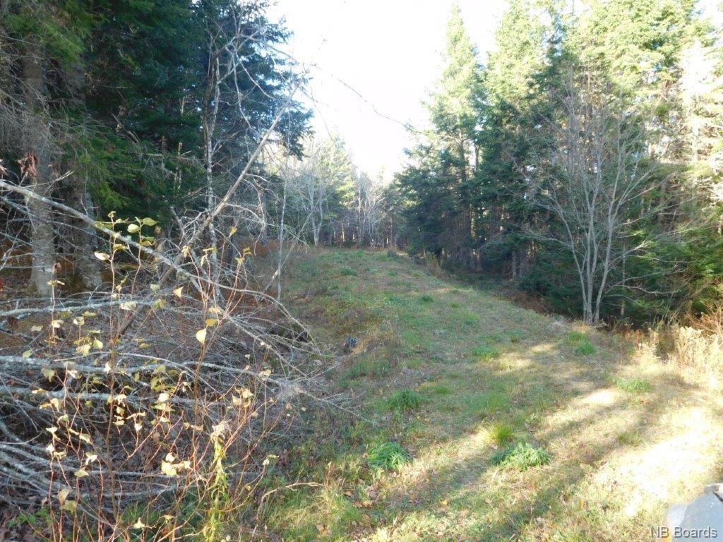 - Lakefield Road, Poodiac New Brunswick, Canada