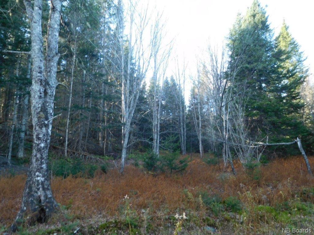 - Lakefield Road, Poodiac New Brunswick, Canada