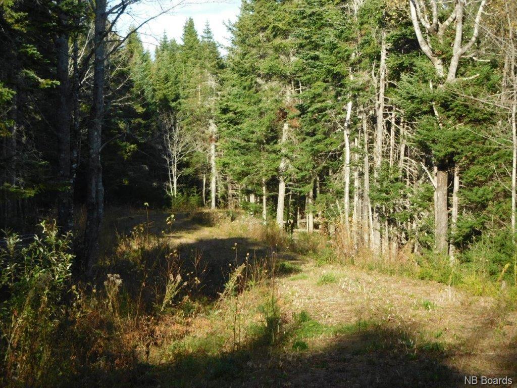 - Lakefield Road, Poodiac New Brunswick, Canada