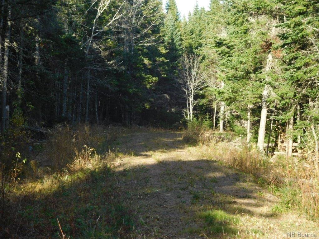 - Lakefield Road, Poodiac New Brunswick, Canada