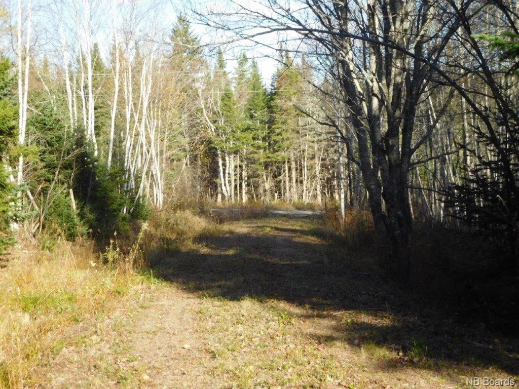 - Lakefield Road, Poodiac New Brunswick, Canada