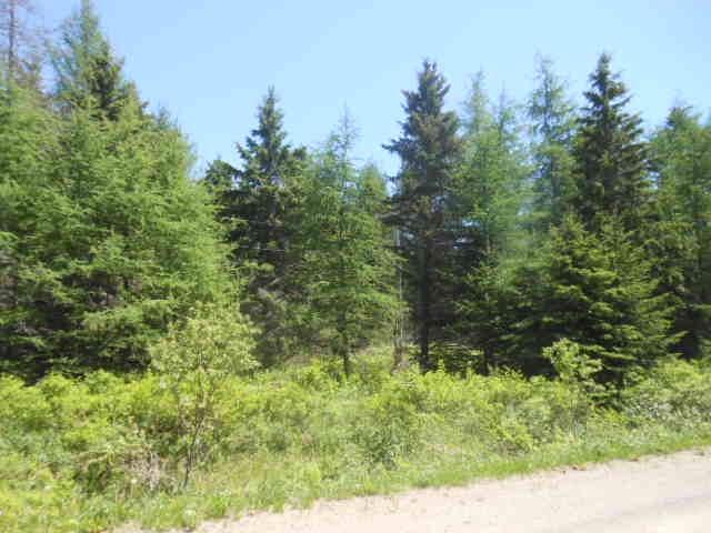 - Poodiac Road, Poodiac New Brunswick, Canada