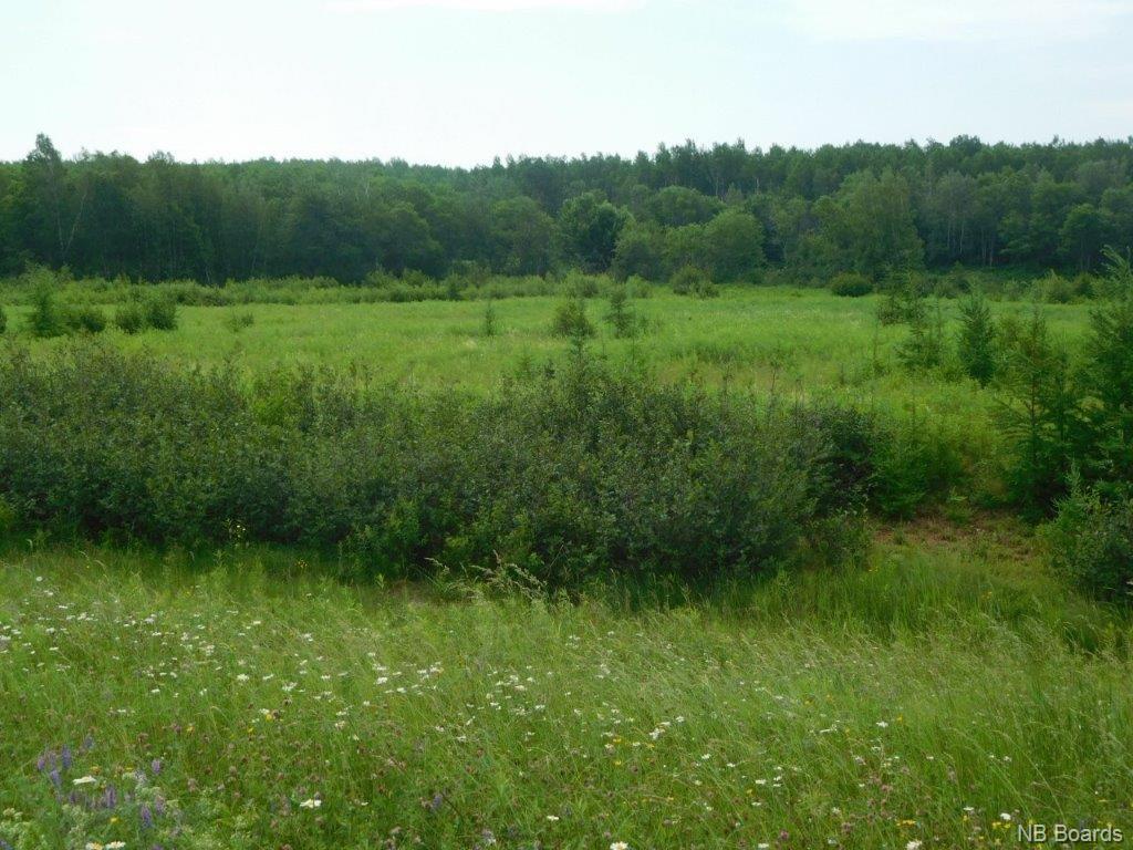7384 Rte 112, Hunters Home New Brunswick, Canada