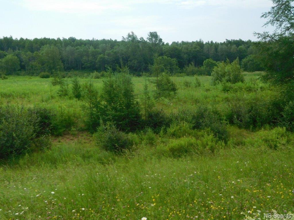 7384 Rte 112, Hunters Home New Brunswick, Canada