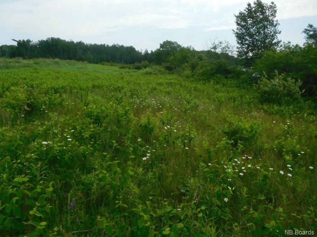 7384 Rte 112, Hunters Home New Brunswick, Canada