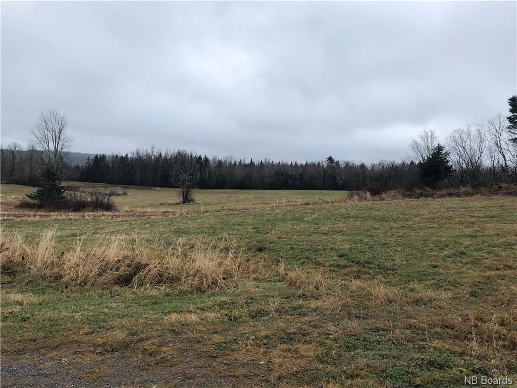61 High Road, Salt Springs New Brunswick, Canada