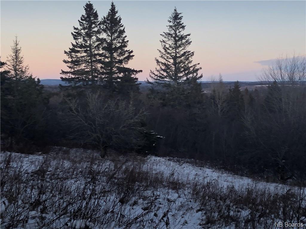 - Salt Springs Road, Salt Springs New Brunswick, Canada