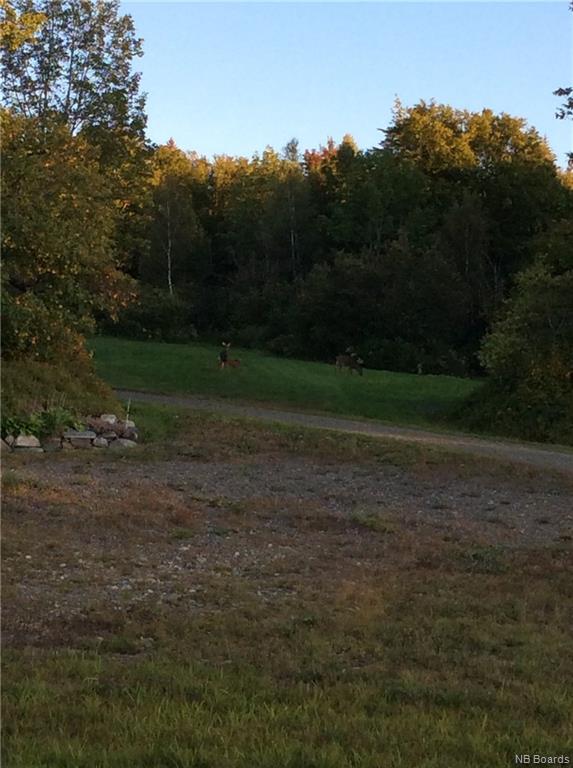 88 North Glenelg Road, Elmsville New Brunswick, Canada