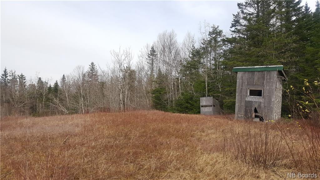 2900 Route 695, Springfield New Brunswick, Canada