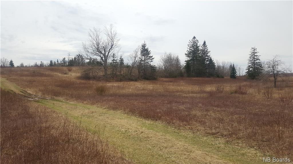 2900 Route 695, Springfield New Brunswick, Canada