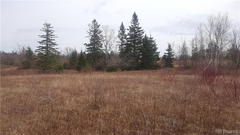 2900 Route 695, Springfield New Brunswick, Canada