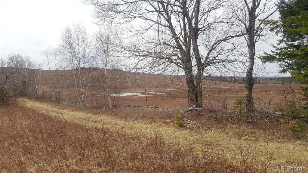 2900 Route 695, Springfield New Brunswick, Canada