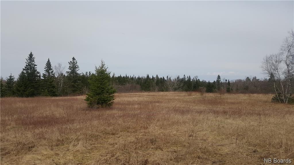 2900 Route 695, Springfield New Brunswick, Canada