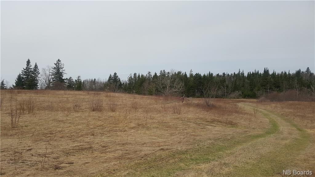 2900 Route 695, Springfield New Brunswick, Canada