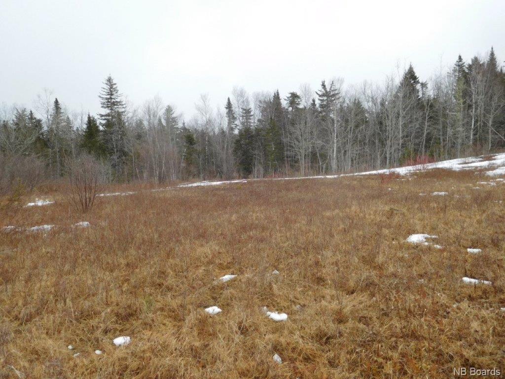 2900 Route 695, Springfield New Brunswick, Canada