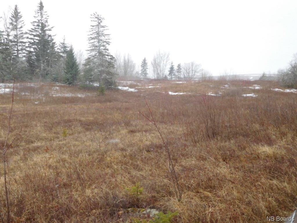 2900 Route 695, Springfield New Brunswick, Canada