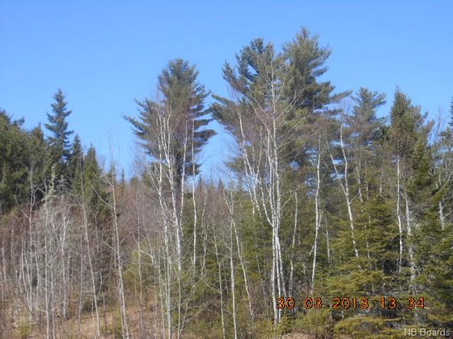 - Route 102, Central Greenwich New Brunswick, Canada