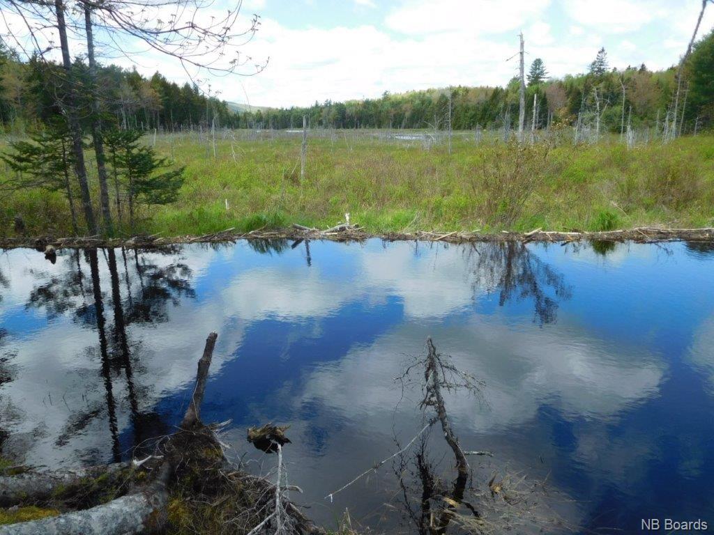 - Route 102, Central Greenwich New Brunswick, Canada