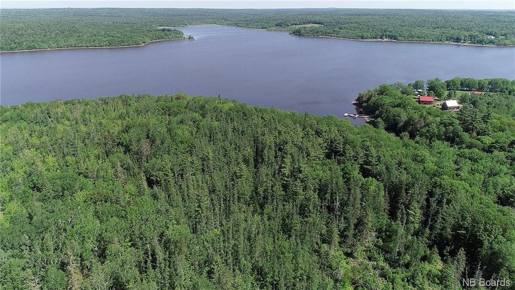 - Scenic Narrows Boulevard, Cambridge Narrows New Brunswick, Canada